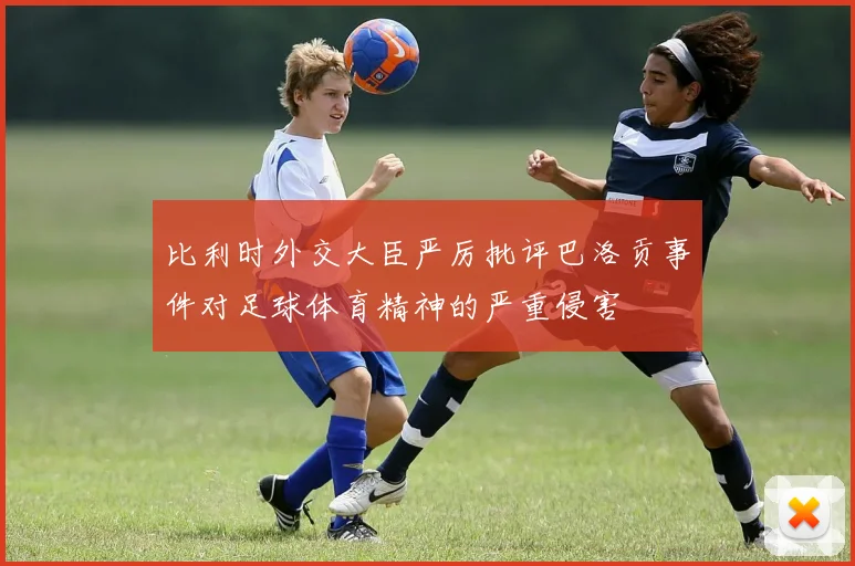 比利时外交大臣严厉批评巴洛贡事件对足球体育精神的严重侵害