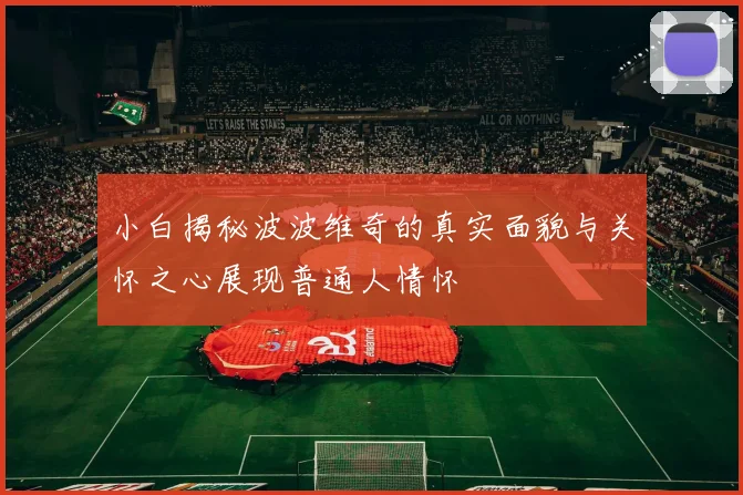 小白揭秘波波维奇的真实面貌与关怀之心展现普通人情怀